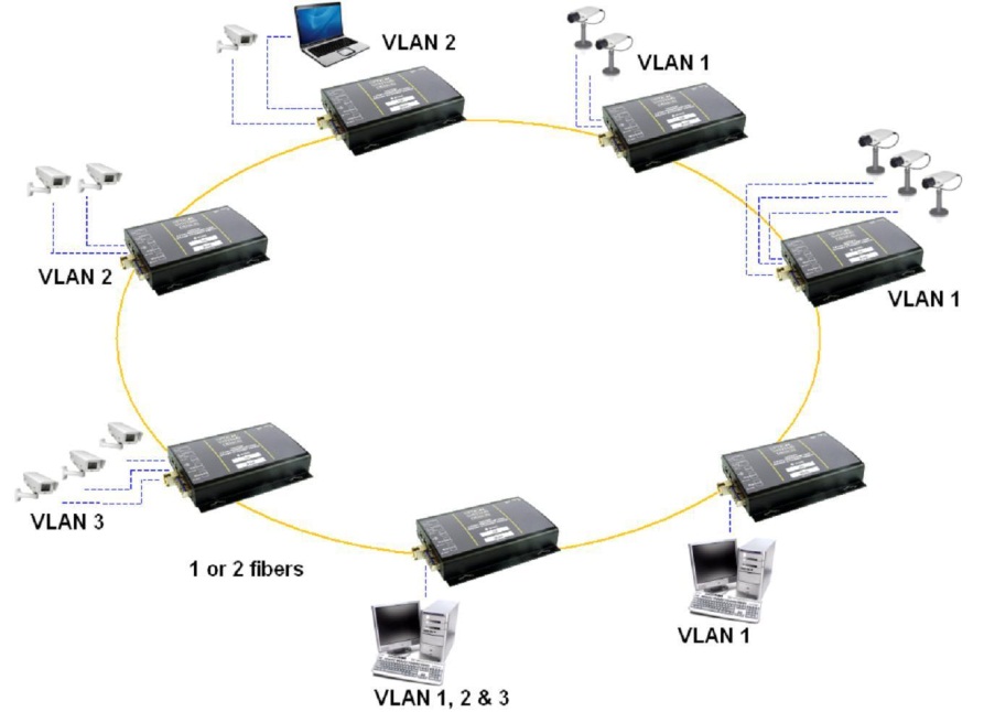 Figure 2  Typical Redundant Ring Gigabit Backbone Network